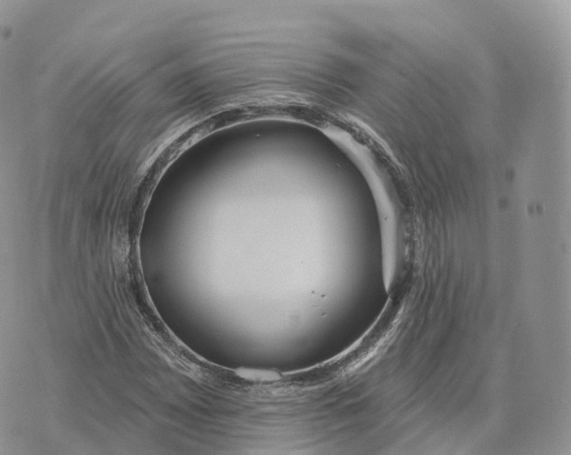 X0000072971065200608111710