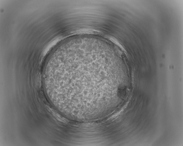 X0000072971067200608111710