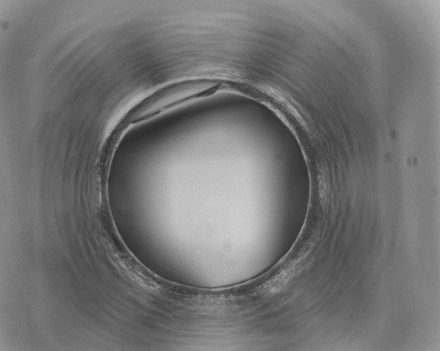 X0000072971069200608111710