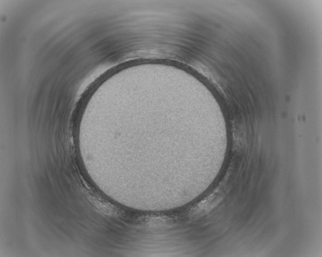 X0000072971070200608111710