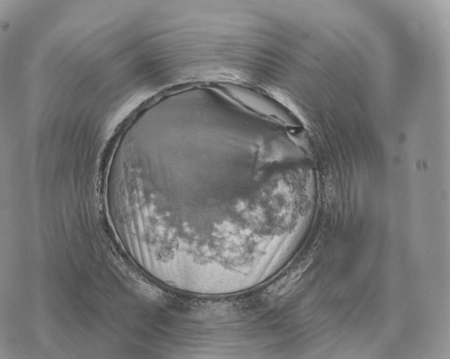 X0000072971071200608111710