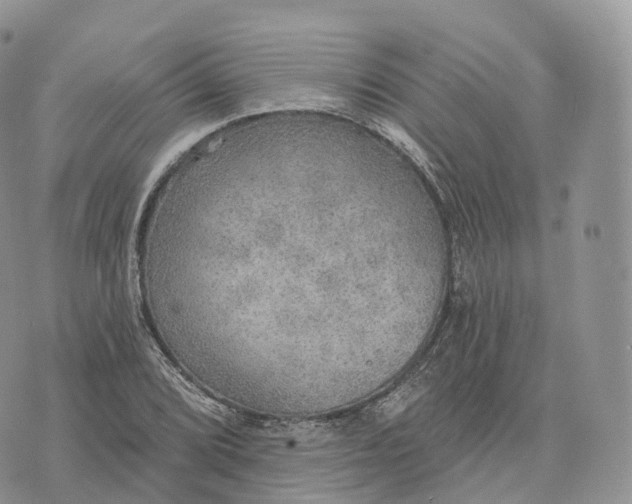 X0000072971072200608111710