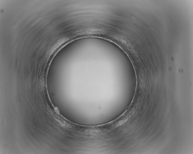 X0000072971073200608111710