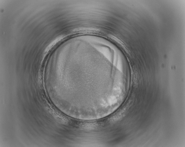 X0000072971074200608111710