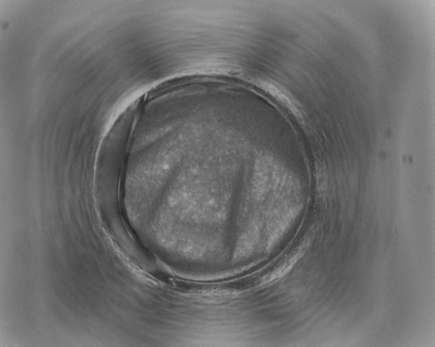 X0000072971077200608111710