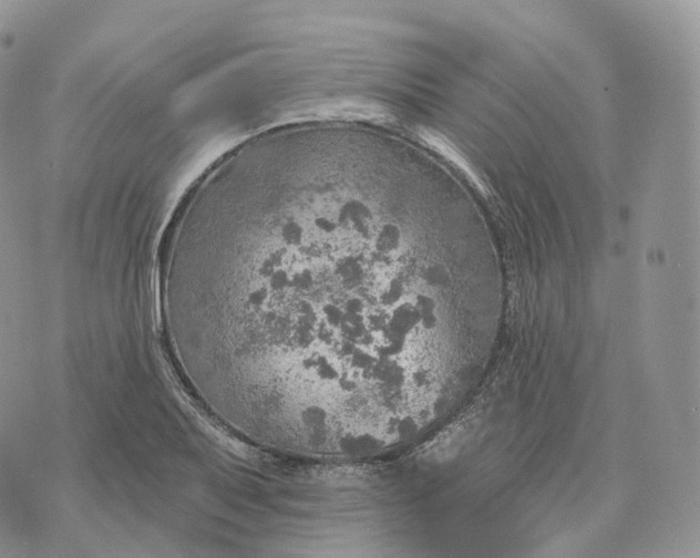 X0000072971079200608111710