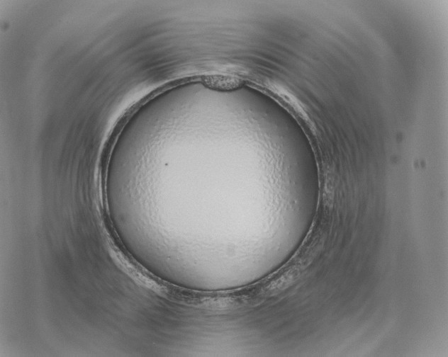 X0000072971080200608111710