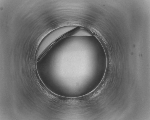 X0000072971081200608111710