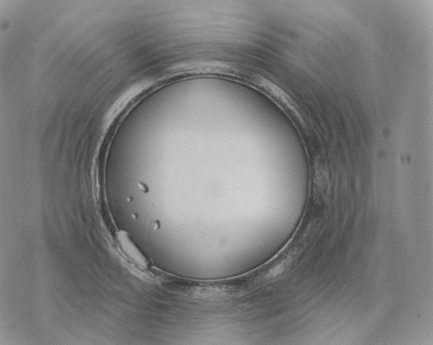 X0000072971082200608111710