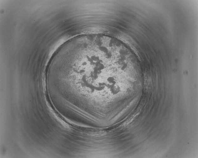 X0000072971083200608111710