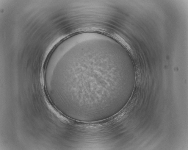 X0000072971084200608111710