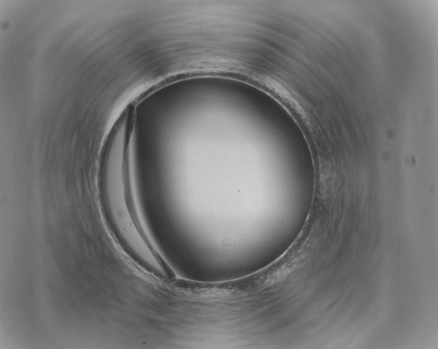 X0000072971085200608111710