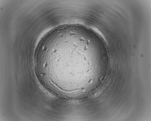 X0000072971088200608111710