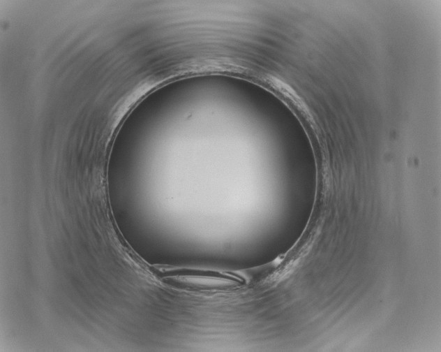 X0000072971089200608111710