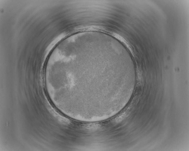 X0000072971090200608111710