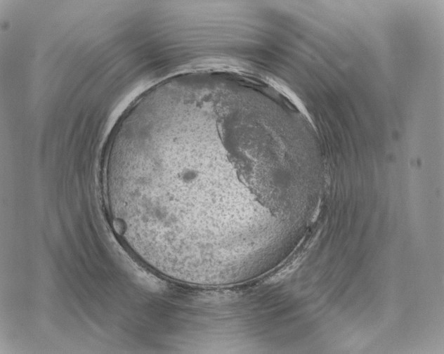 X0000072971091200608111710