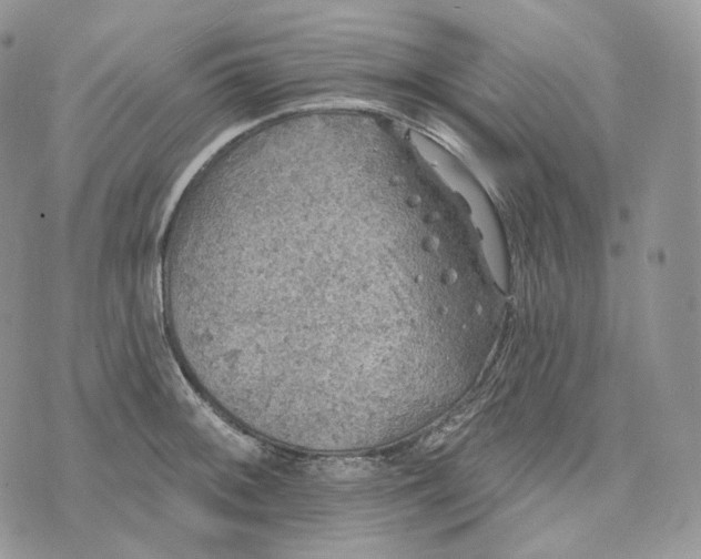 X0000072971092200608111710