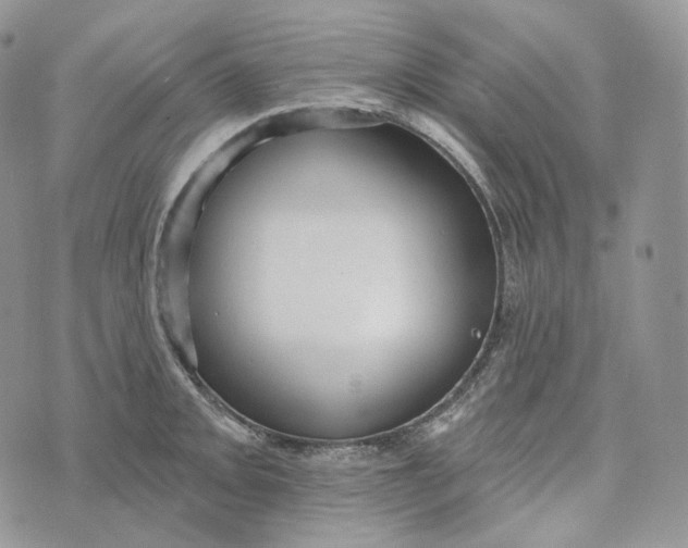 X0000072971093200608111710