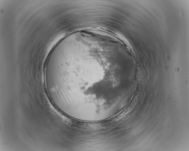 X0000072971095200608111710