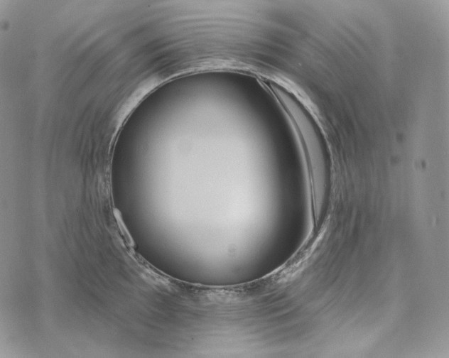 X0000072971097200608111710