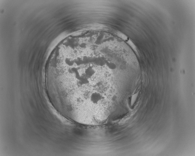 X0000072971099200608111710