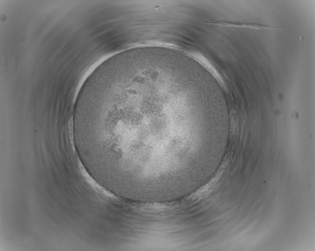 X0000072971100200608111710