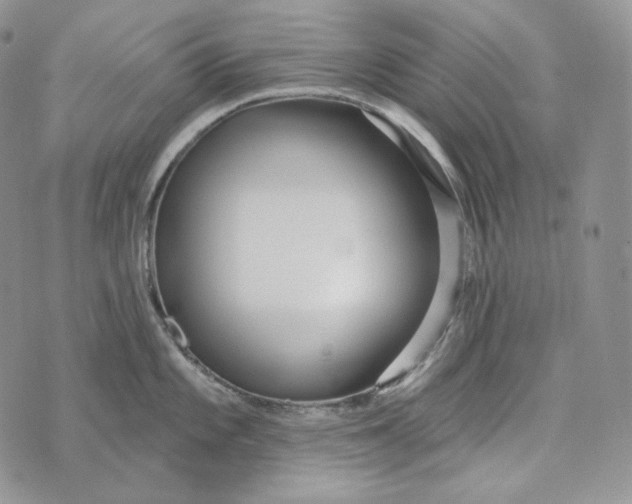 X0000072971101200608111710