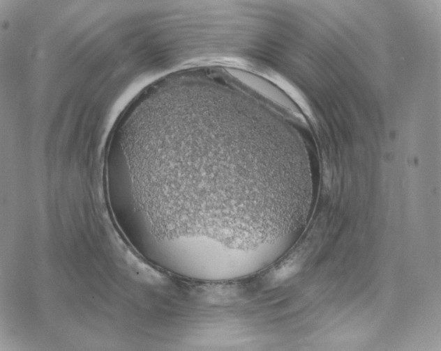 X0000072971102200608111710