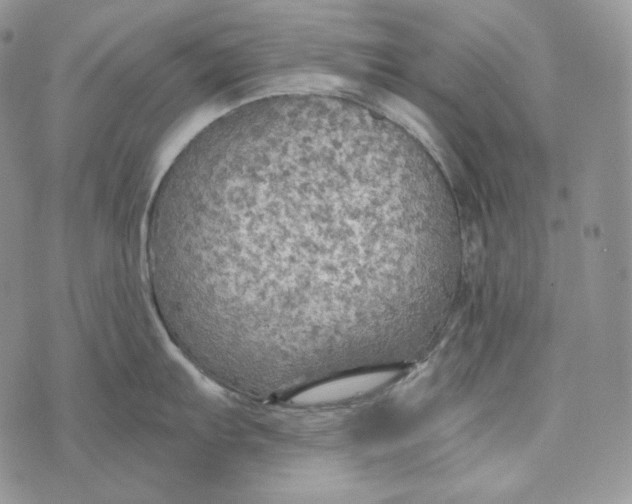 X0000072971103200608111710