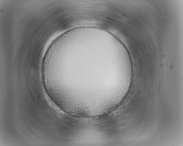 X0000072971104200608111710