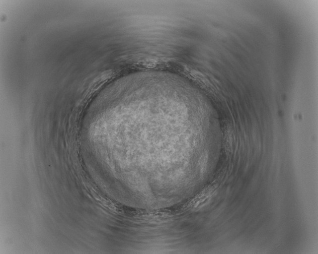 X0000072971105200608111709