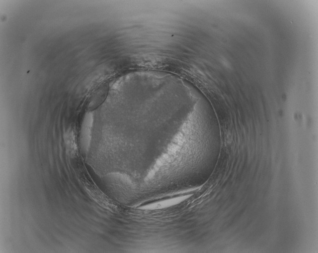 X0000072971106200608111709