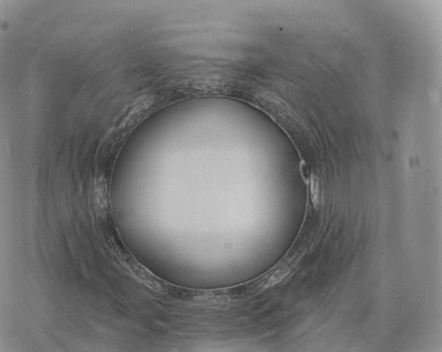 X0000072971107200608111709