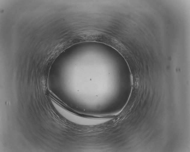 X0000072971108200608111709