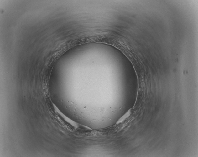 X0000072971109200608111709