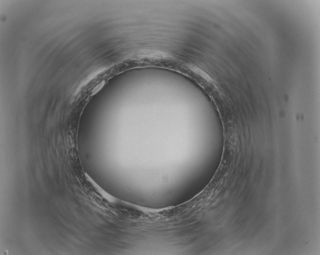 X0000072971112200608111709