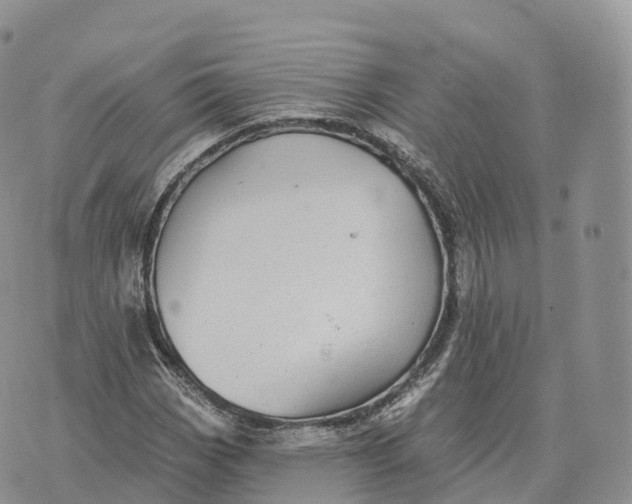 X0000072971113200608111709