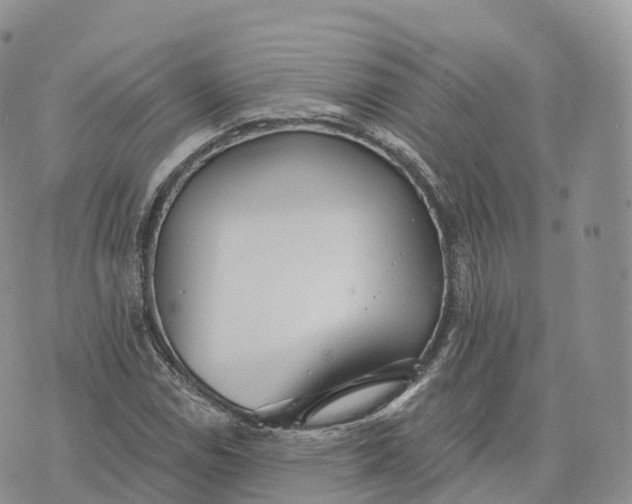 X0000072971114200608111709