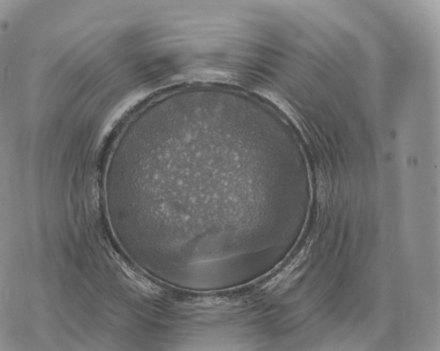 X0000072971115200608111709