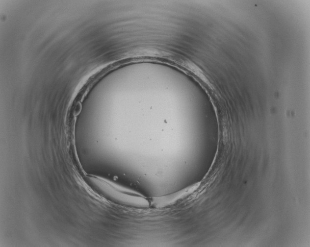 X0000072971116200608111709