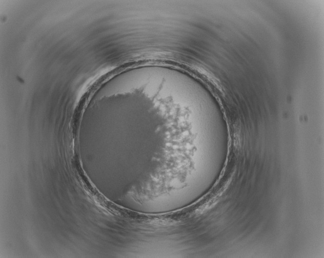 X0000072971117200608111709