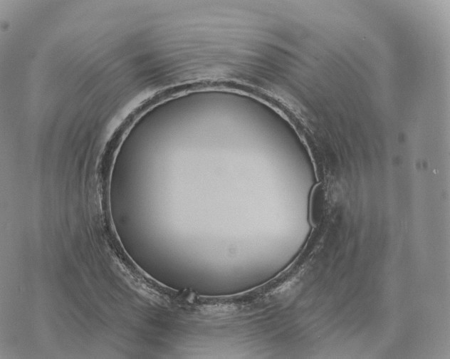 X0000072971118200608111709