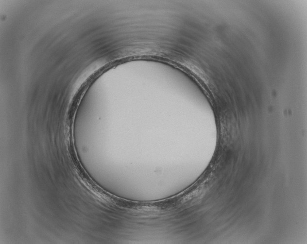 X0000072971119200608111709