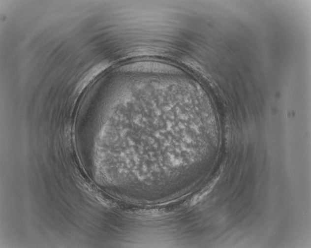 X0000072971121200608111709