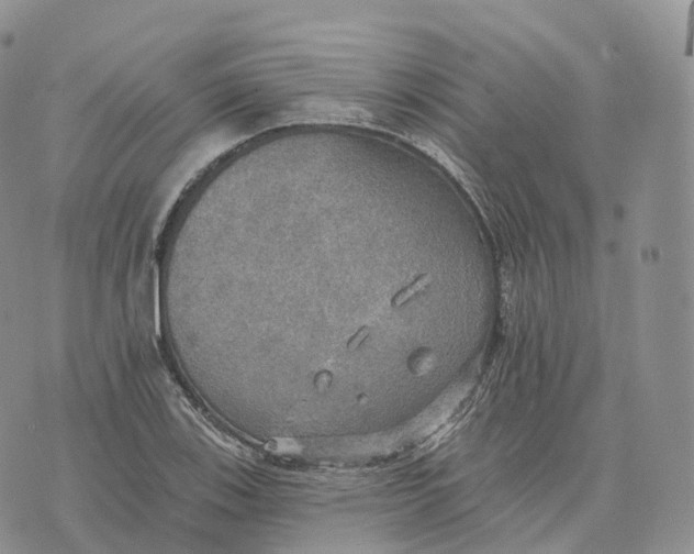 X0000072971123200608111709