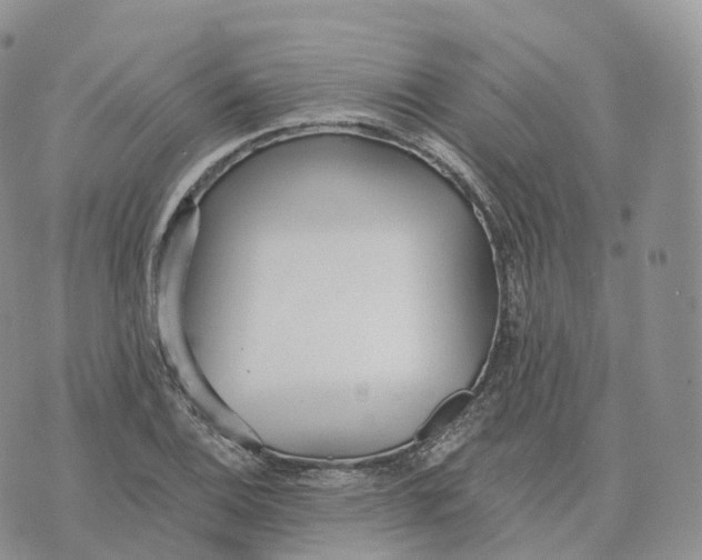 X0000072971124200608111709