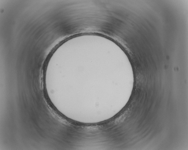 X0000072971126200608111709