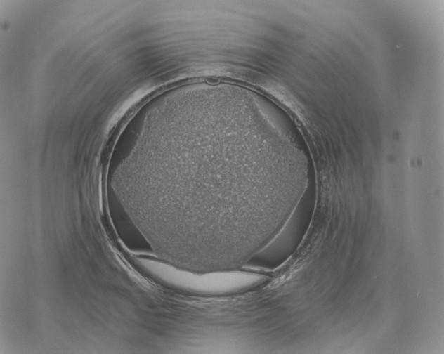 X0000072971127200608111709