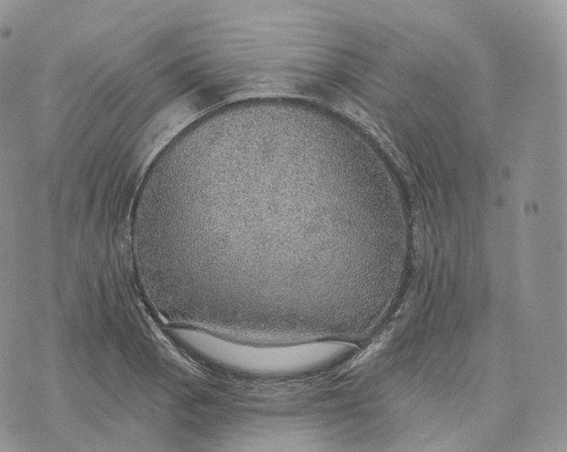 X0000072971129200608111709