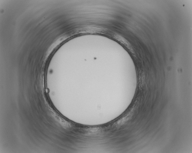 X0000072971130200608111709